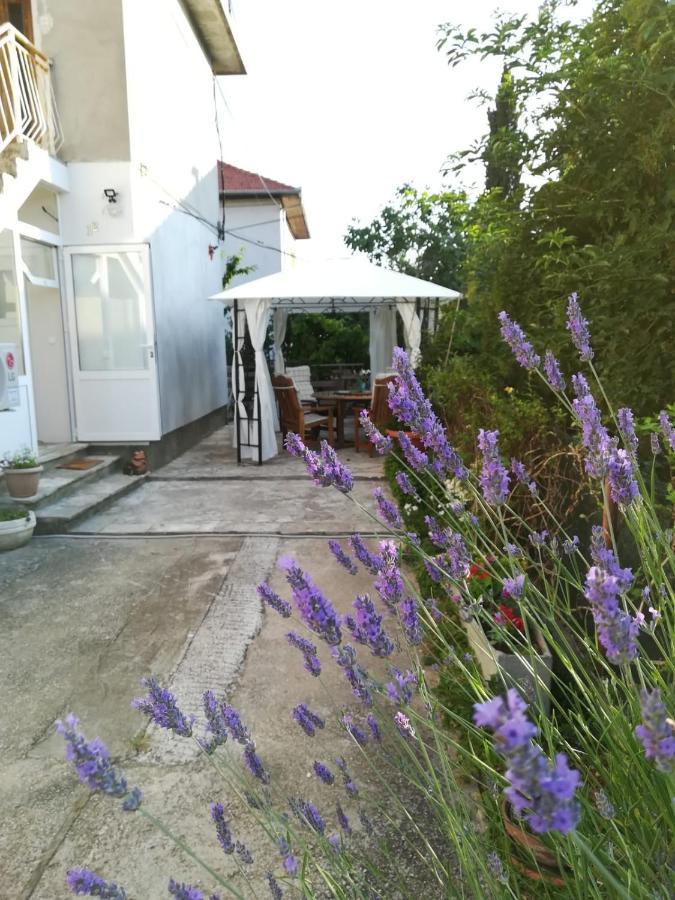 Lili Apartment In Zadar Pet Friendly, Free Parking 외부 사진
